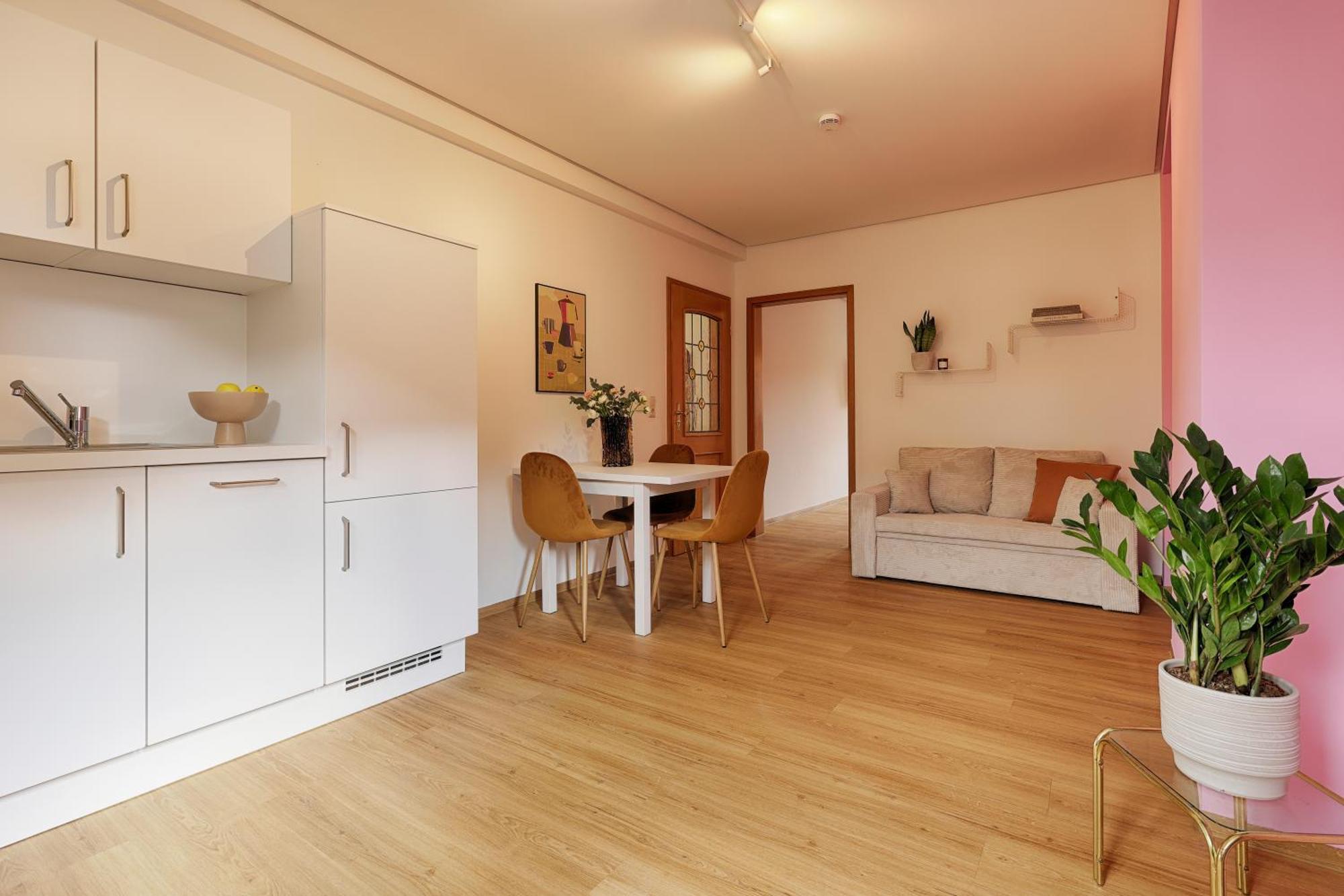 Homie Stay Badgasse - Fewos Am Main Mit Dachterrasse & Fahrradgarage Ochsenfurt Zewnętrze zdjęcie